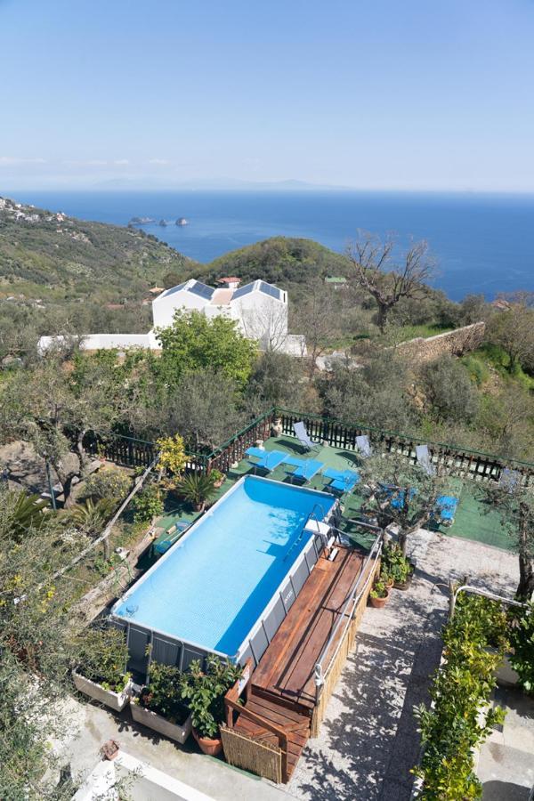 Casa Il Negrito Villa Massa Lubrense Exterior photo
