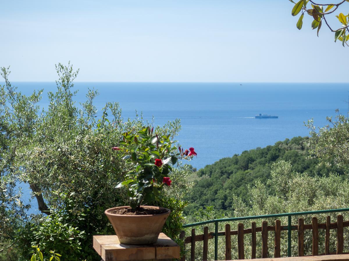 Casa Il Negrito Villa Massa Lubrense Exterior photo
